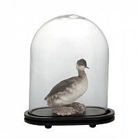 аксессуар bell jar trapani от eichholtz в Нижневартовске