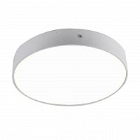 потолочный светодиодный светильник favourite flashled 2065-30c в Нижневартовске