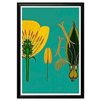 арт-постер «строение цветка» в Нижневартовске