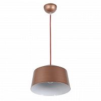 подвесной светильник arti lampadari tempo e 1.3.p1 br в Нижневартовске