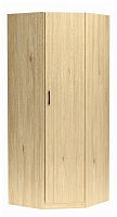 шкаф для одежды сбк бостон 11612 в Нижневартовске
