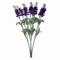 декоративное растение лаванда с 8 цветками 35 см в Нижневартовске