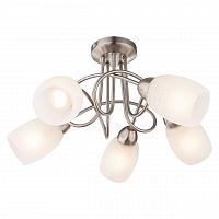 потолочная люстра globo timon 63177-5 в Нижневартовске