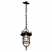 подвесной светильник loft it loft1141 в Нижневартовске