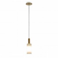 подвесной светильник eglo oakham 49758 в Нижневартовске