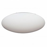 потолочный светодиодный светильник omnilux oml-43007-100 в Нижневартовске