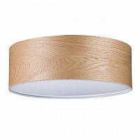 потолочный светильник paulmann alva 79650 в Нижневартовске