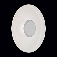 уличный настенный светодиодный светильник st luce sl925.501.01 в Нижневартовске