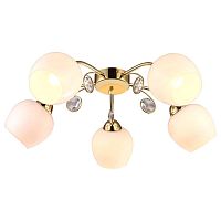 потолочная люстра arte lamp millo a9549pl-5go в Нижневартовске