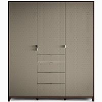 шкаф case №2 шпон дымчатый в Нижневартовске