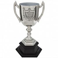 кубок наградной 14,5*14*29 в Нижневартовске