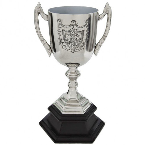 кубок наградной 14,5*14*29 в Нижневартовске
