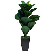 фикус в горшке 90 см в Нижневартовске