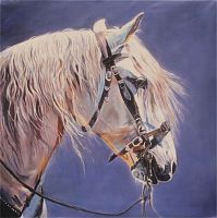 картина маслом скакун - 2 в Нижневартовске