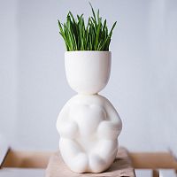 набор для выращивания eco романтик в Нижневартовске