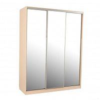 шкаф-купе для прихожей mebelson бассо 4-600 в Нижневартовске