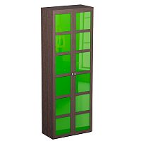 шкаф двойной noire венге и зеленый в Нижневартовске