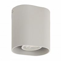 потолочный светильник denkirs dk2005-wh в Нижневартовске