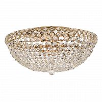 потолочный светильник arti lampadari asti e 1.2.50.100 g в Нижневартовске