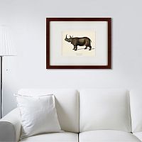 картина: rhinoceros ancienne gravure, 1849 в Нижневартовске