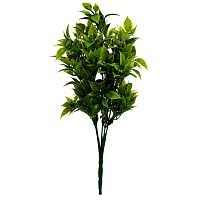 декоративное растение рускус 33 см в Нижневартовске