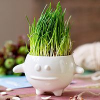 набор для выращивания eco кру в Нижневартовске