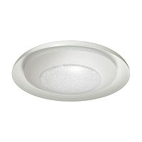 потолочный светодиодный светильник odeon light benso 4623/48cl в Нижневартовске