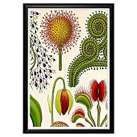 арт-постер «экзотика мира» в Нижневартовске