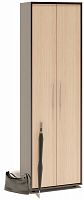 шкаф для одежды с выдвижной штангой сшо-1, цвет дуб венге/белёный дуб в Нижневартовске