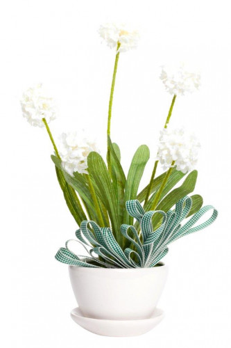 декоративный цветок walley в Нижневартовске