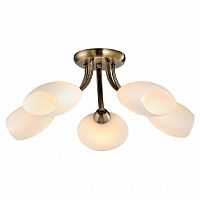 потолочная люстра lussole lgo grlsp-0189 в Нижневартовске