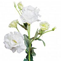 лизиантус белый 77 см (12) в Нижневартовске