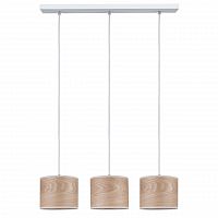 подвесной светильник paulmann neta 79641 в Нижневартовске