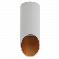 потолочный светильник denkirs dk2011-wh в Нижневартовске