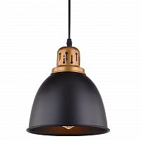 подвесной светильник arte lamp eurica a4245sp-1bk в Нижневартовске