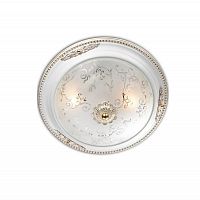 потолочный светильник odeon light corbea 2670/2c в Нижневартовске