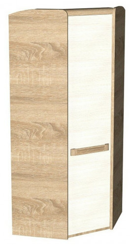 шкаф для одежды сбк чемпион 40101 в Нижневартовске