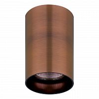 потолочный светильник lightstar rullo 214430 в Нижневартовске