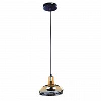 подвесной светильник spot light fiji 9704112 в Нижневартовске