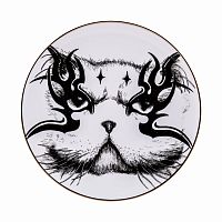 тарелка кот в Нижневартовске