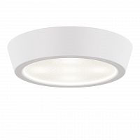 потолочный светодиодный светильник lightstar urbano 214904 в Нижневартовске