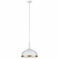 подвесной светильник paulmann embla 79628 в Нижневартовске