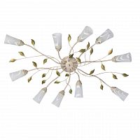 потолочная люстра mw-light восторг 242015510 в Нижневартовске