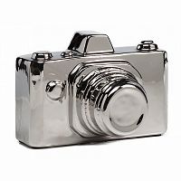 предмет декора camera серебряная в Нижневартовске