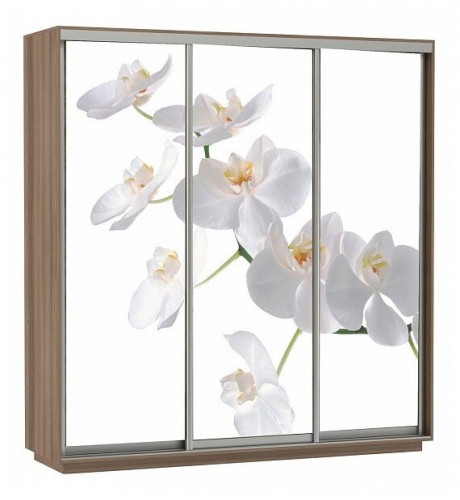 шкаф-купе для одежды е1 экспресс фото трио орхидея в Нижневартовске