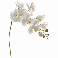 искусственный цветок орхидея белая 105 см в Нижневартовске