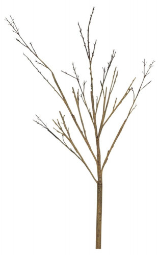 декор twig stem в Нижневартовске