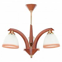 потолочная люстра alfa los 366 в Нижневартовске