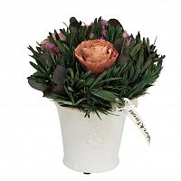 цветочная композиция розовые розы в горшке 17х20 в Нижневартовске