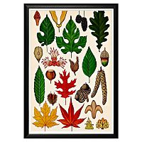 арт-постер «гербарий. осень» в Нижневартовске